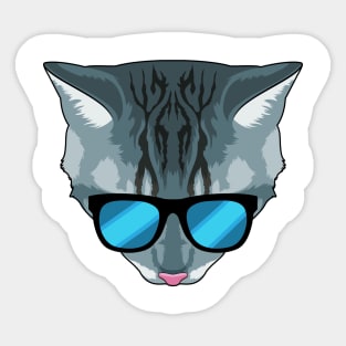 Cat with Sunglasses Sticker